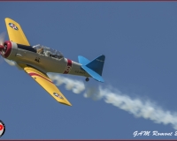 TSR Watermark - 0437